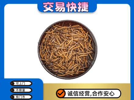 阜宁县高价回收散虫草